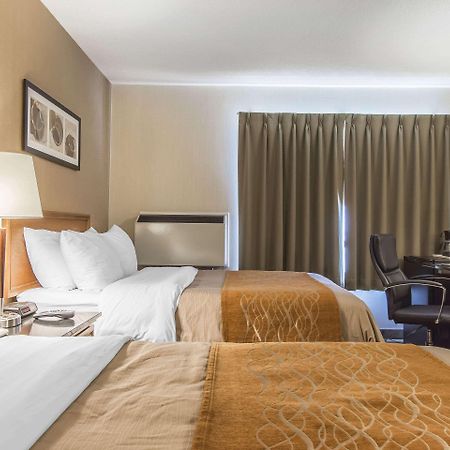 Comfort Inn Капъскейсинг Екстериор снимка